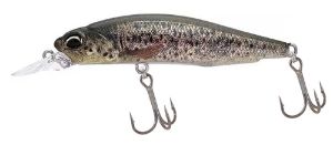 DUO Realis Rozante SP