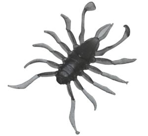 Illex Rv Bug Kakure Sujiebi Illex