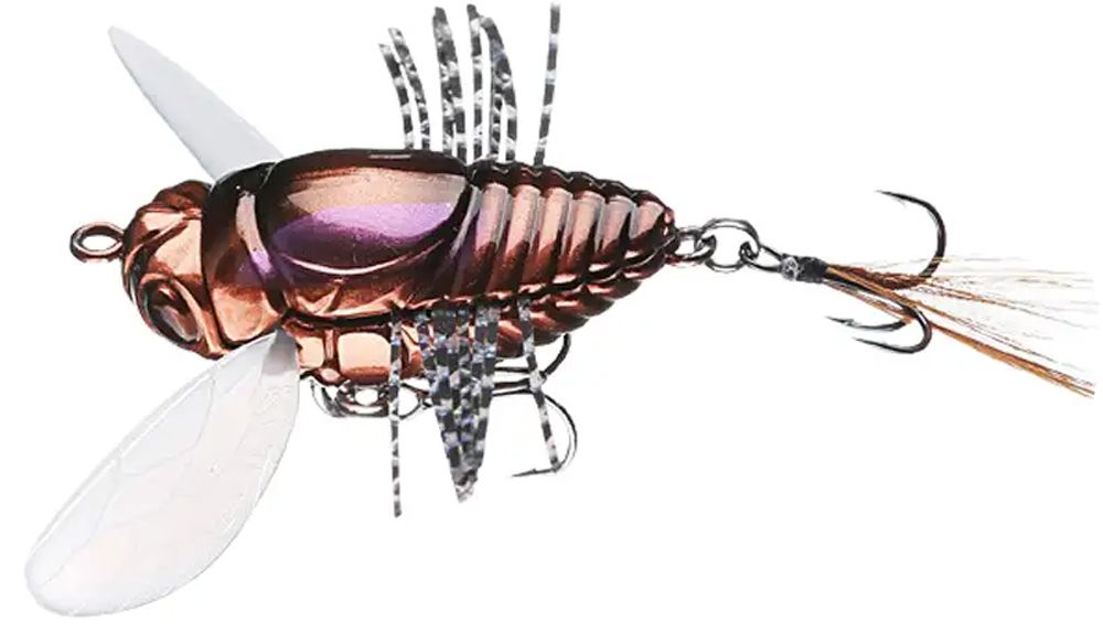 DUO Realis Shinmushi