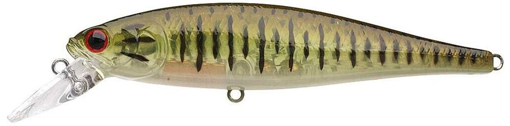 Lucky Craft Pointer 100 SP