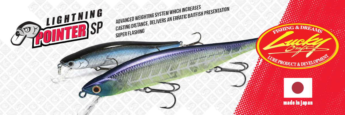 Immagine del prodotto Lucky Craft Lightning Pointer 110SP