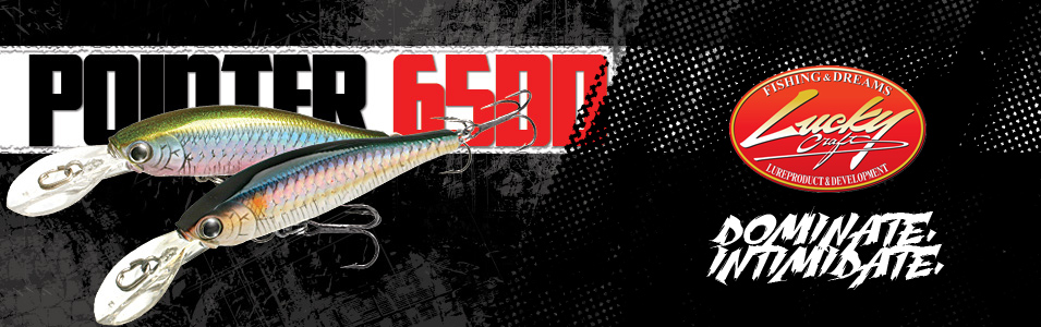 Immagine del prodotto Lucky Craft Pointer 65 DD