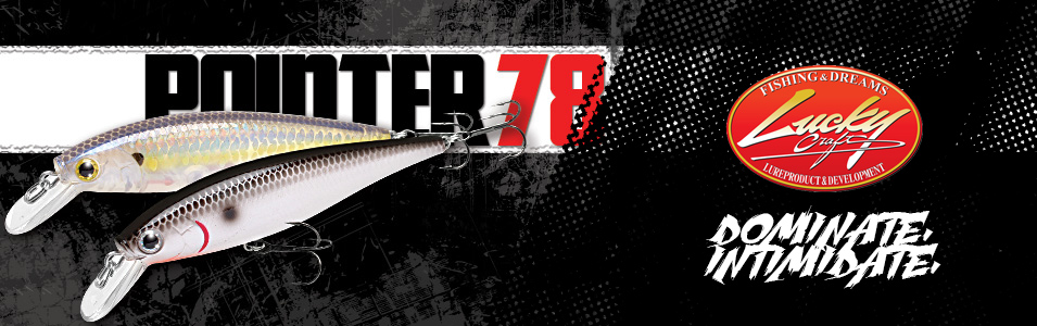 Immagine del prodotto Lucky Craft Pointer 78 SP