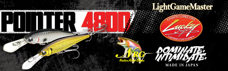 Immagine del prodotto Lucky Craft Pointer 48 DD