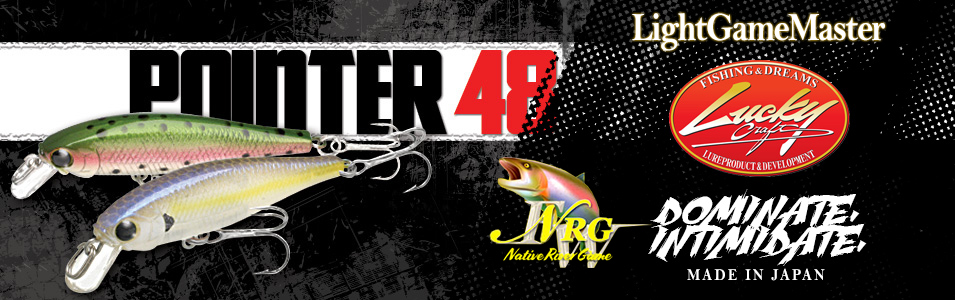 Immagine del prodotto Lucky Craft Pointer 48 minnow
