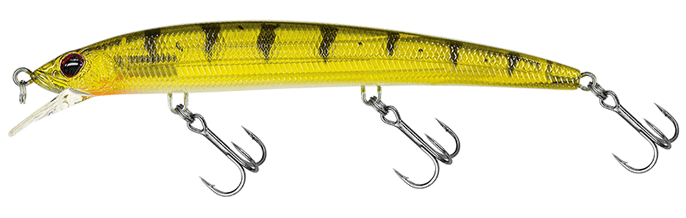 Molix Finder Jerk Evo 125