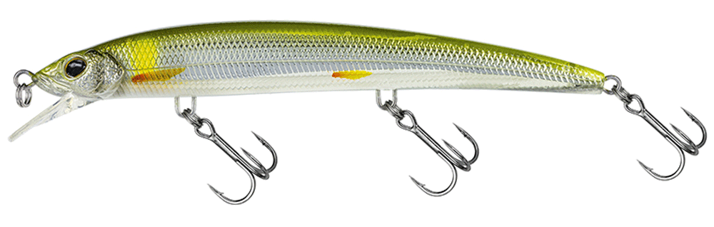 Molix Finder Jerk Evo 125