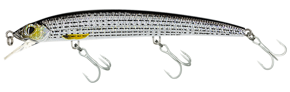 Molix Finder Jerk Evo 125