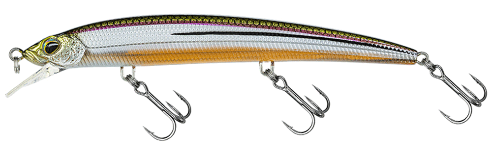 Molix Finder Jerk Evo 125