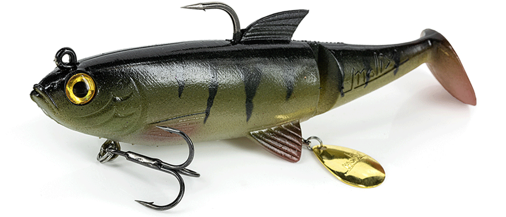 Molix Shad