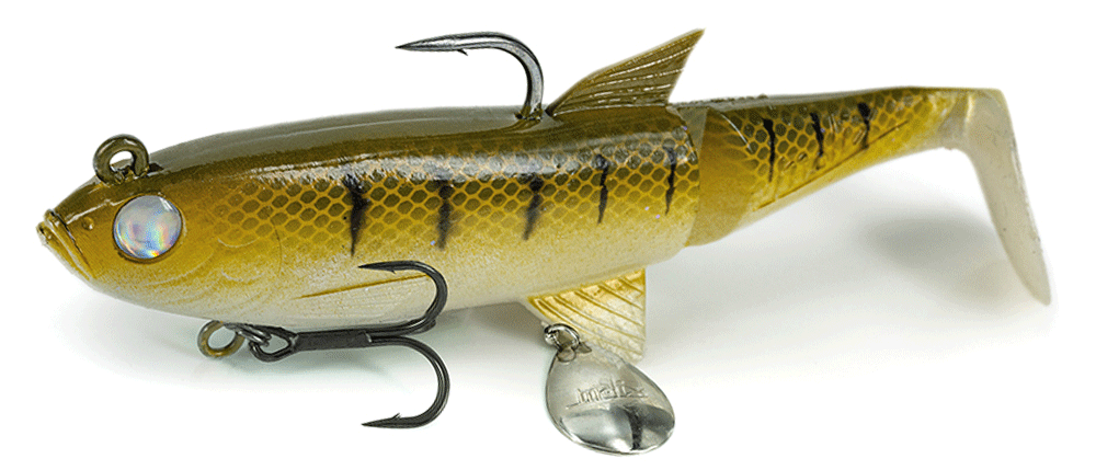 Molix Shad