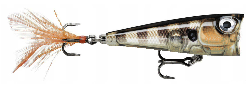 Rapala X-Light Pop