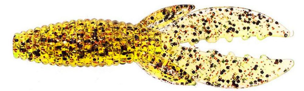 Culprit Space Beetle