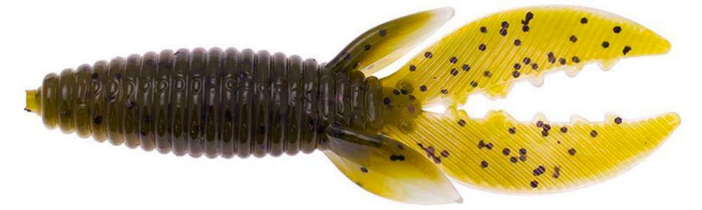 Culprit Space Beetle