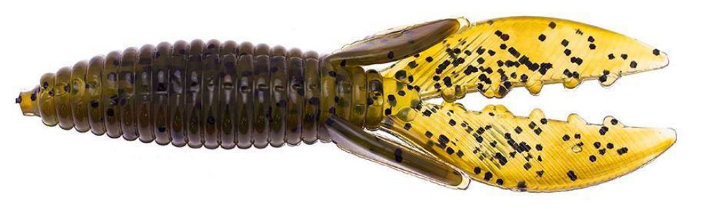 Culprit Space Beetle