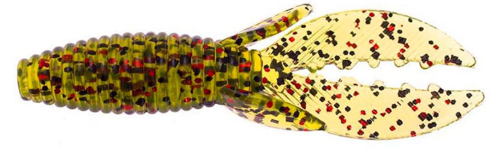 Culprit Space Beetle