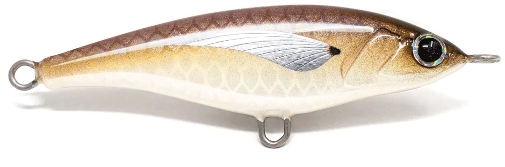 Jack Fin Pelagus 75-S