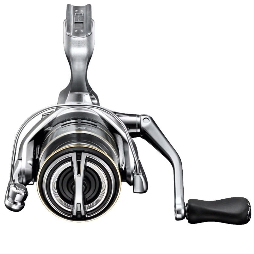 Shimano Sedona FJ Spinning