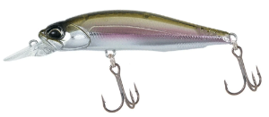 DUO Realis Rozante SP