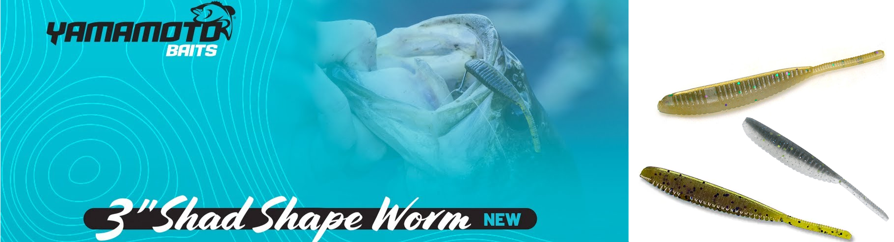 Immagine del prodotto Gary Yamamoto Shad Shape Worm