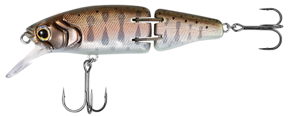 Shimano Cardiff Armajoint 60SS