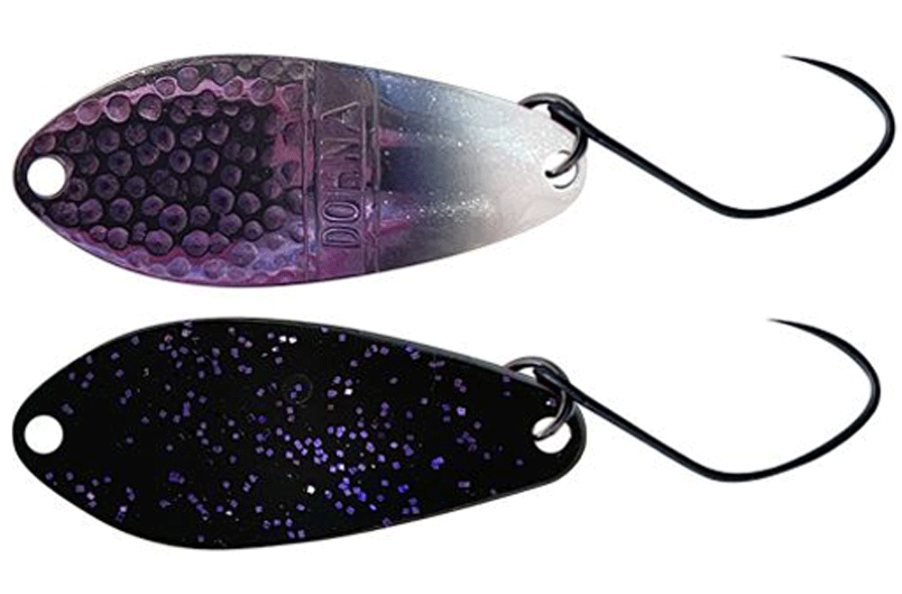 Antem Dohna Limited 2024 