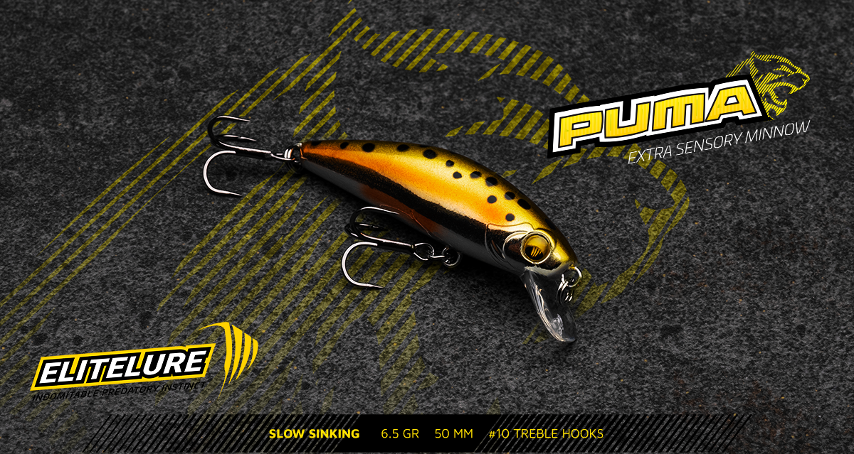 Immagine del prodotto Elitelure Puma Minnow