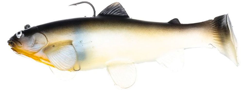 Castaic SBT Swimbait