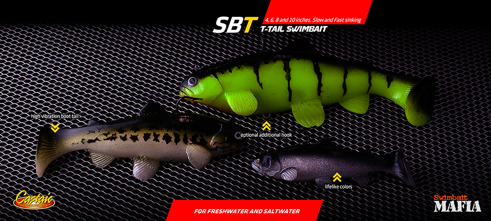 Immagine del prodotto Castaic SBT Swimbait