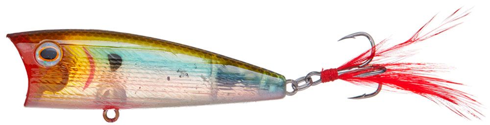 Castaic Boyd Duckett BDP Popper