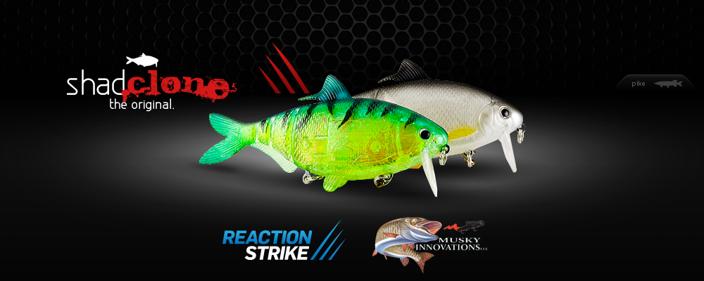 Immagine del prodotto Musky Innovations Reaction Strike Shad Clone Swimbait