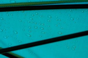 Preston Innovations Coolmax Brolly