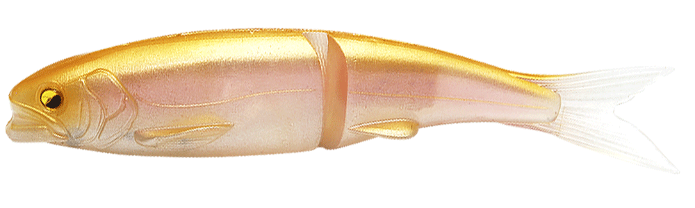 raid japan osakana slide 170 - Bass Store Italy: Over 50K Fishing