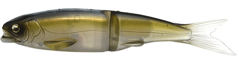 Raid Japan Osakana Slide 170