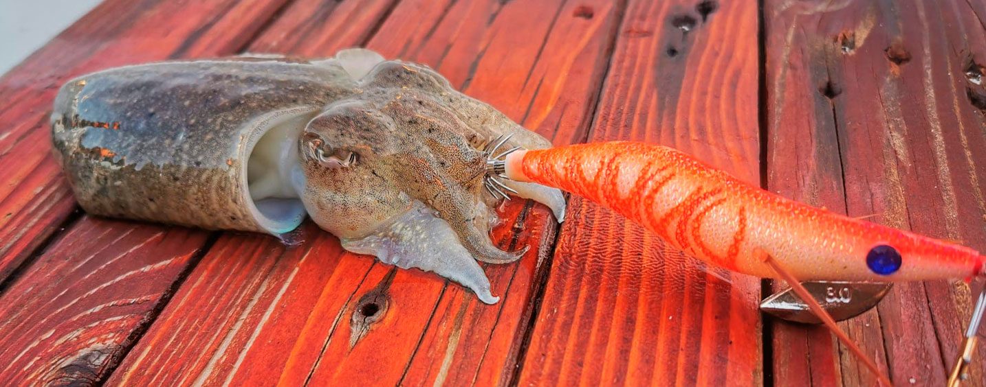 Immagine del prodotto Sunset Fishing SunSquid Bad Gambas