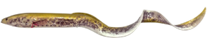 Savage Gear 3D Real Eel