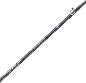 Sakura Ryokan SW Slow Jigging casting