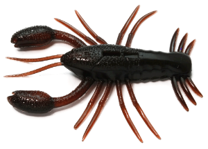 Raid Japan Zariganist 