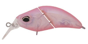 Valkein Kuga Hydra F