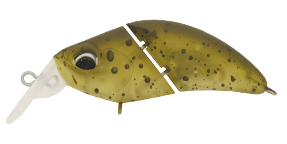 Valkein Kuga Hydra F