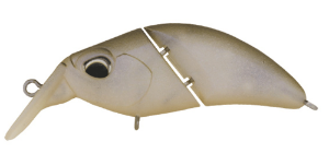 Valkein Kuga Hydra F