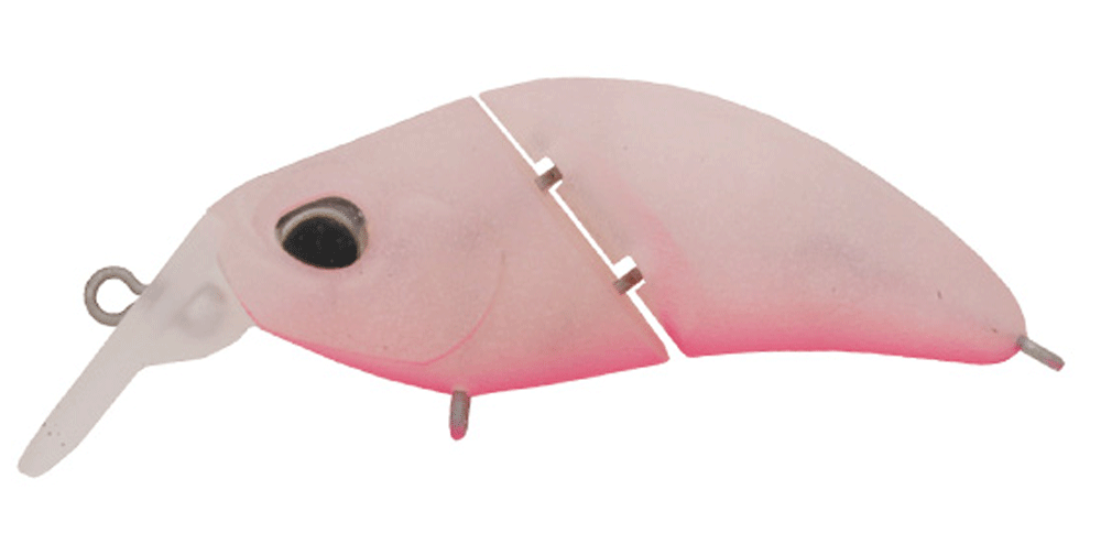 Valkein Kuga Hydra F