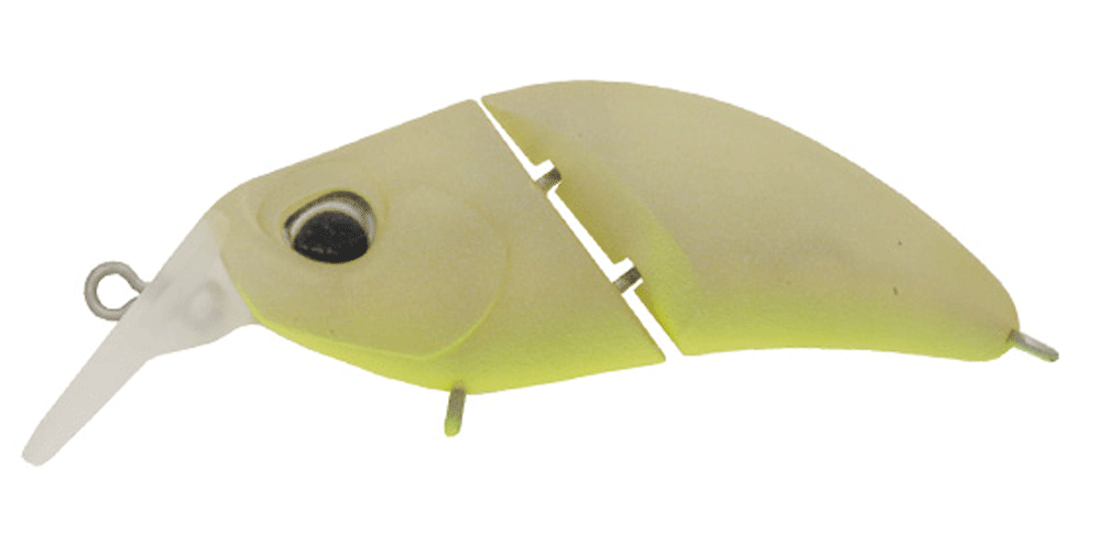 Valkein Kuga Hydra F