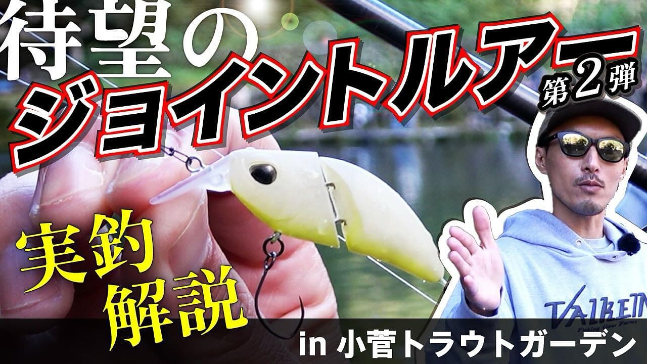 Immagine del prodotto Valkein Kuga Hydra F