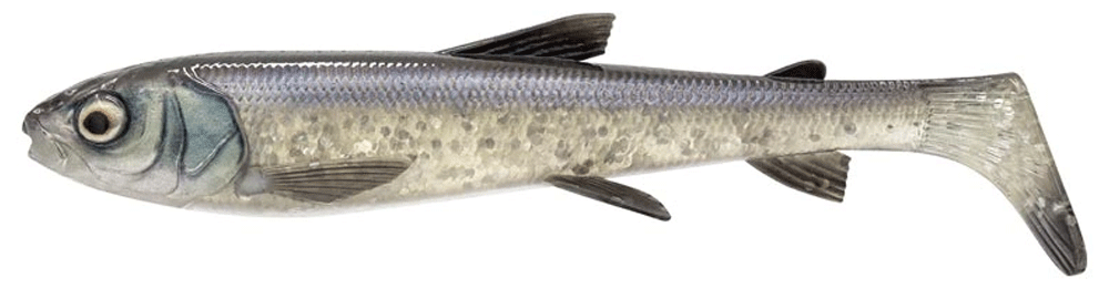 Savage Gear 3D Whitefish Shad