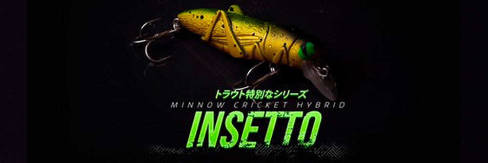 Immagine del prodotto Laboratorio L&#x27; Insetto Cricket Cavalletta