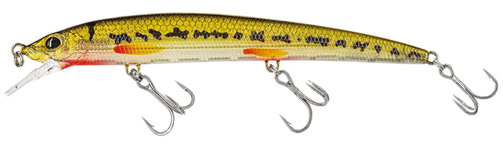 Molix Finder Jerk Evo 110