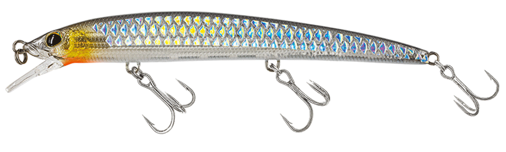 Molix Finder Jerk Evo 110