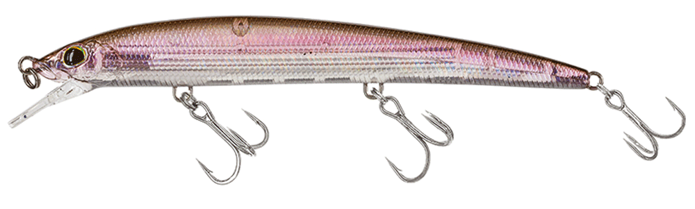 Molix Finder Jerk Evo 110