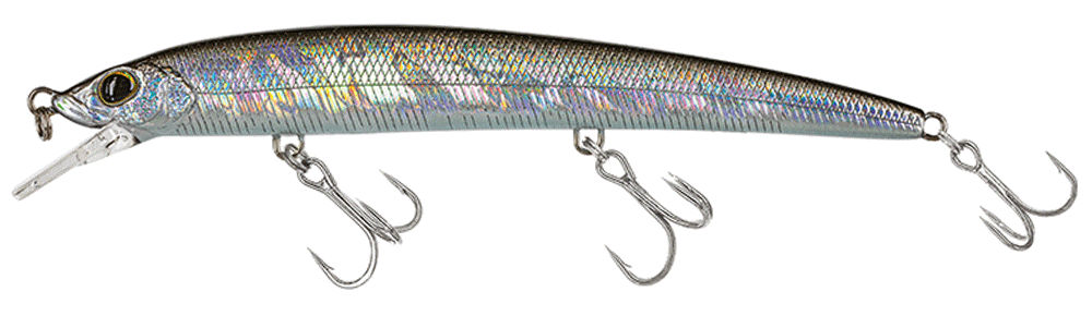 Molix Finder Jerk Evo 110